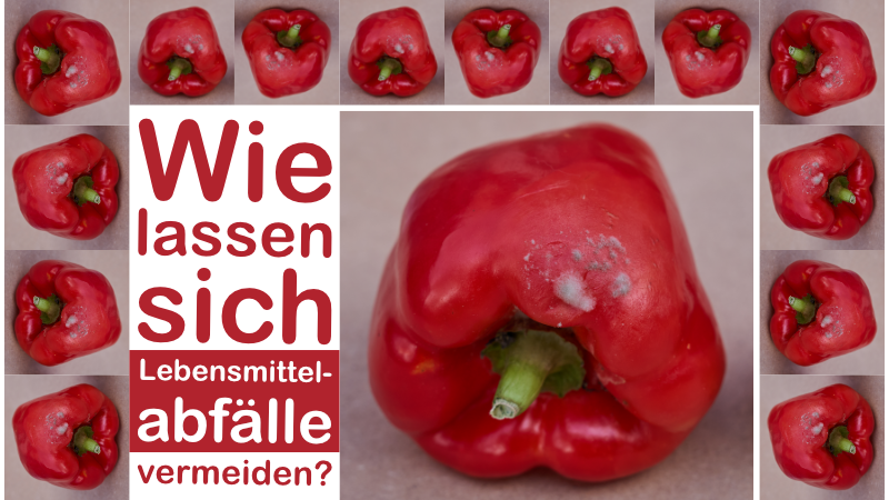 Wie lassen sich Lebensmittelabfälle vermeiden?