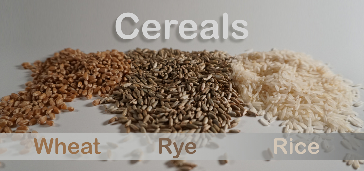 Wheat, Rye, Rice