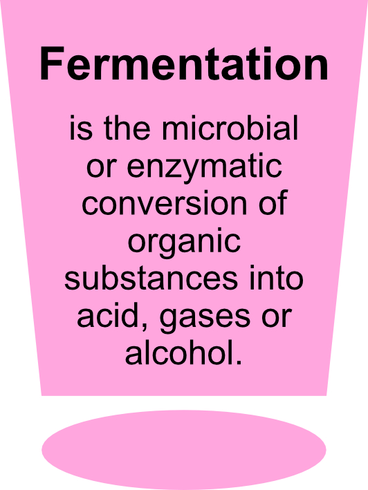 Fermentation