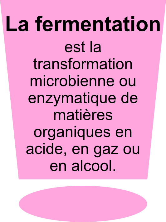 La fermentation