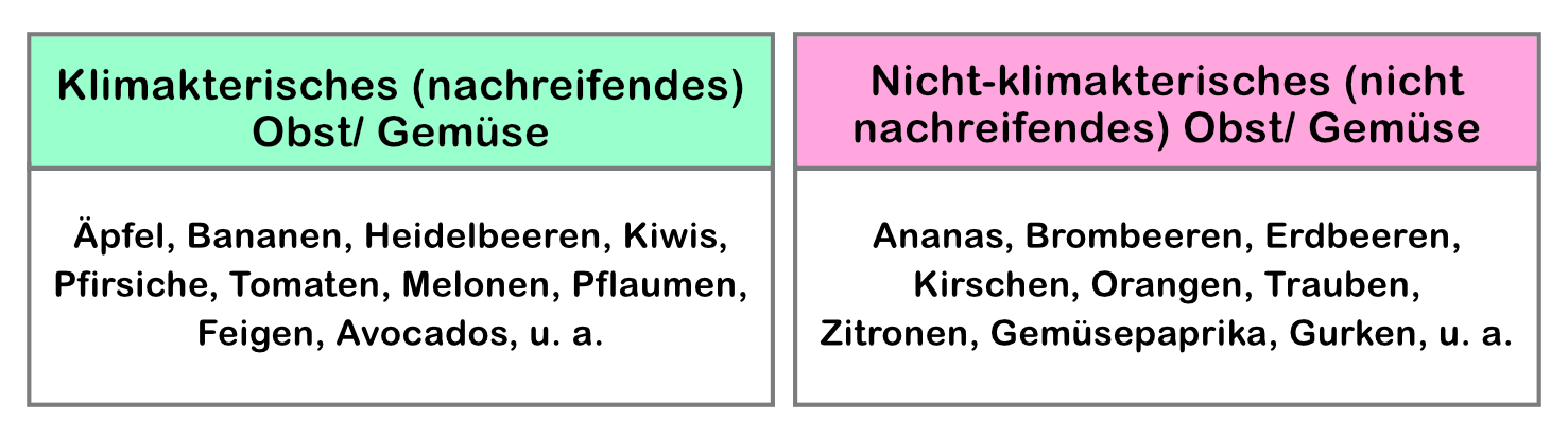 Tabelle mit Beispielen