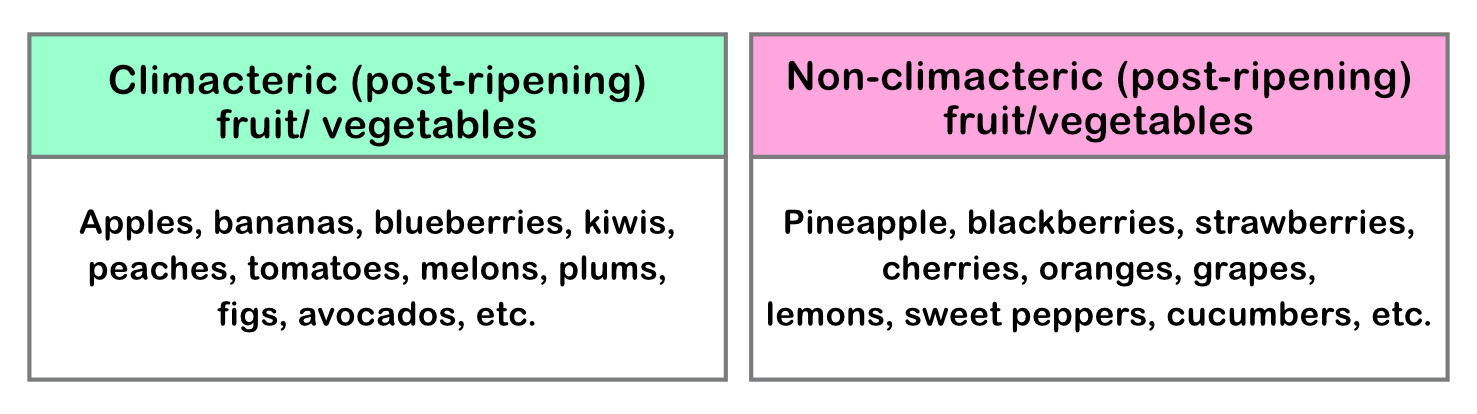 Table with examples